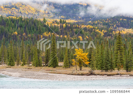 Fir trees island on the lake waterfront in autumn foliage season. snowy foggy mountains in the background. Fir trees island on the lake waterfront in autumn foliage season. snowy foggy mountains in the background. 109566844