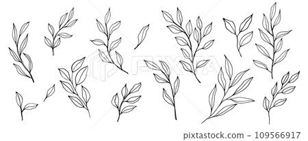 vector contour branch and leaves collection. Elegant branches for decoration. ink hand drawing monochrome botanical illustration for backgrounds. Temlate for wedding cards and polygraphy, logo, tattoo 109566917