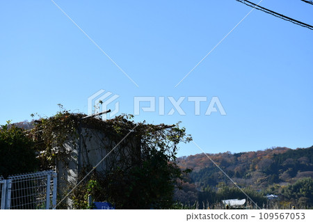 山中的小屋 109567053