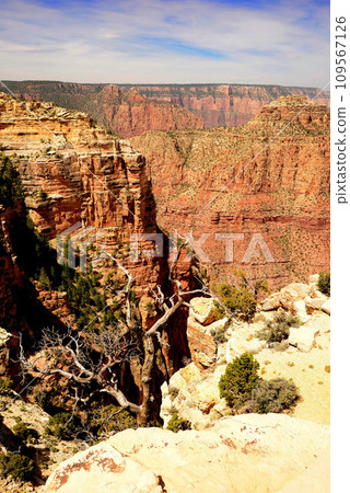 Hazy Sky Day At The Grand Canyon Arizona Hazy Sky Day At The Grand Canyon Arizona 109567126