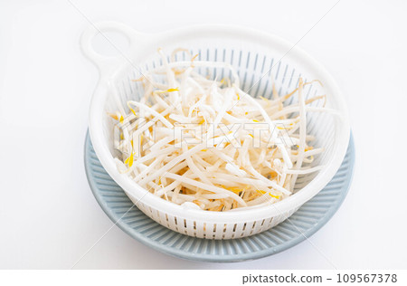 黑豆芽 黑豆芽 109567378