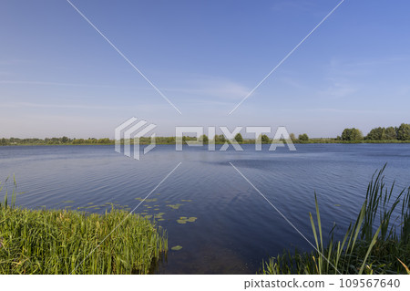 lake in sunny summer weather lake in sunny summer weather 109567640