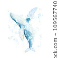 Whale splashing in water 109567740