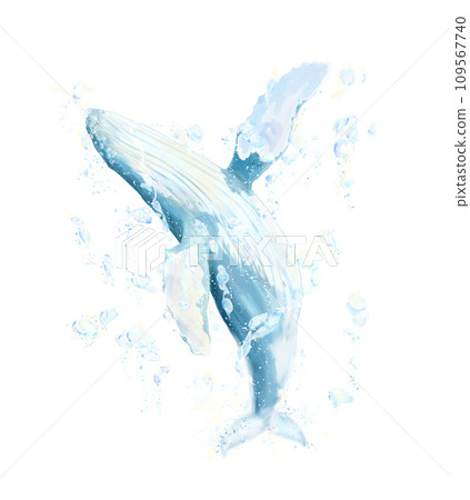 Whale splashing in water 109567740