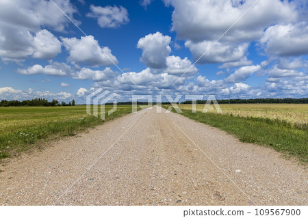 a road through a field with poor infrastructure a road through a field with poor infrastructure 109567900