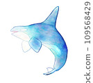 Illustration of a gentle touch of a killer whale 109568429