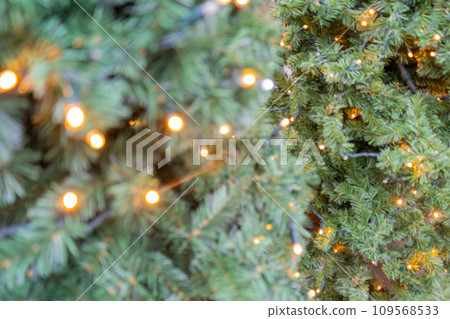 Natural green spruce twig background or texture Natural green spruce twig background or texture 109568533