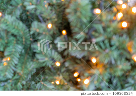 Natural green spruce twig background or texture 109568534