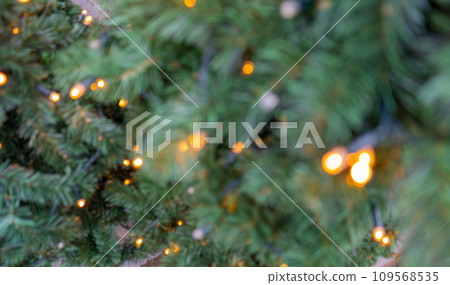 Natural green spruce twig background or texture 109568535