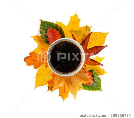 Autumn Coffee Cup Isolated, Coffee Mug on Yellow Autumn Tree Leaves, Hot Drink in Golden Foliage 109568784