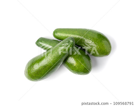 Avocado Isolated, Whole Avokado, Green Avocados Slice, Fresh Alligator Pear, Long Avocado Fruit Avocado Isolated, Whole Avokado, Green Avocados Slice, Fresh Alligator Pear, Long Avocado Fruit 109568791