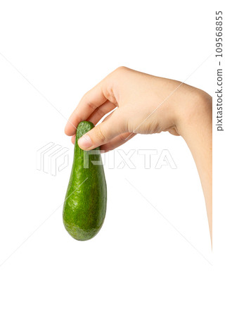 Avocado Isolated, Whole Avokado, Green Avocados Slice, Fresh Alligator Pear, Long Avocado Fruit 109568855