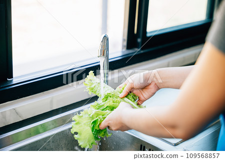 Woman's hands washing assorted vegetables in a sink with running water creating a vegan salad in a modern kitchen. Hygiene and freshness emphasized in homemade healthy food prep. 109568857