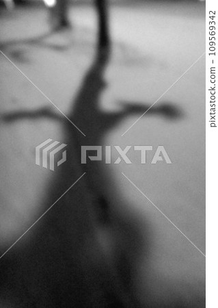 The shadow of trees reflected on the snow 109569342