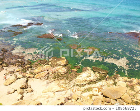 Bright green algae-covered rocks in the foreground at Bondi Beach, Australia 109569723