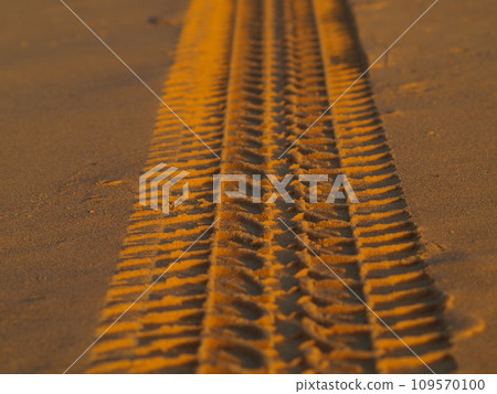 Tracks on the golden sand leading into the sea 109570100