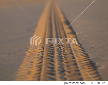 Tracks on the golden sand leading into the sea Tracks on the golden sand leading into the sea 109570104