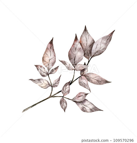 Rustic wedding greenery. Dried leaves, bleached grass, autumn herbal. Hand drawn Watercolor autumn illustration for design, fabric or print 109570296