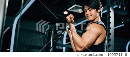 Concept of fitness and exercise - a muscular male athlete pulling a cable tricep rope during a strength training session. lifestyle and people concept Concept of fitness and exercise - a muscular male athlete pulling a cable tricep rope during a strength training session. lifestyle and people concept 109571146