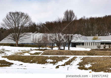 野村工堂荒惠比壽紀念館,其標誌樹是櫸樹 野村工堂荒惠比壽紀念館,其標誌樹是櫸樹 109571442