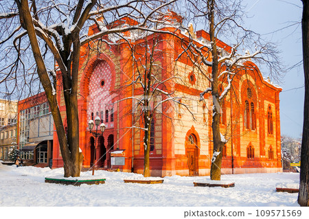 uzhgorod, ukraine - 05 FEB, 2010 109571569