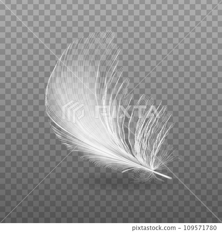 Vector 3d realistic falling feather closeup isolated on transparency mesh background. Design template, image of angel or bird feather. Vector 3d realistic falling feather closeup isolated on transparency mesh background. Design template, image of angel or bird feather. 109571780