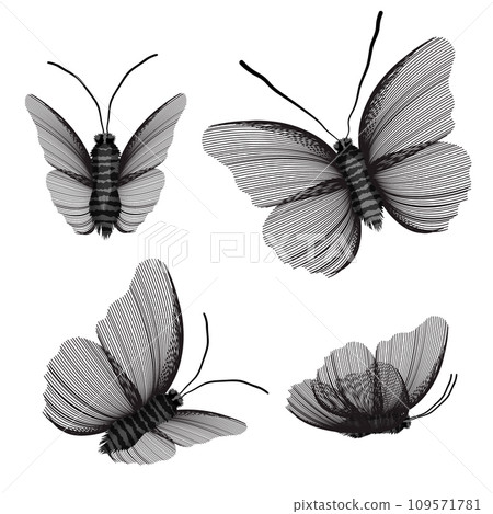 Set of butterflies in sketch style, plain on a white background. Eco-themed design. 109571781