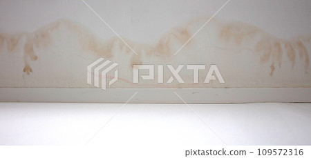 Stains on ceiling and wall from water leak 109572316