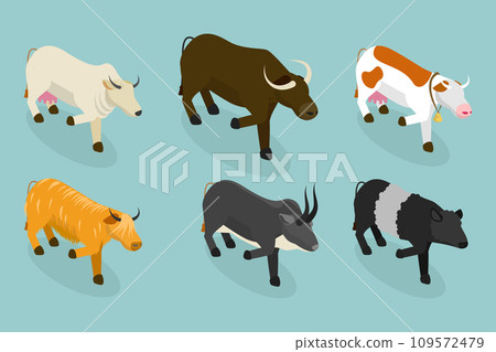 3D Isometric Flat Vector Set of Bulls And Cows 3D Isometric Flat Vector Set of Bulls And Cows 109572479