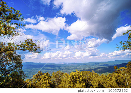 Majestic Mountain Solitude Serene Woodland Cliffscapes Majestic Mountain Solitude Serene Woodland Cliffscapes 109572562