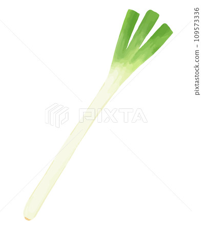 Hand-drawn style illustration of green onion 109573336