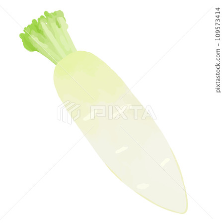 Hand-drawn style illustration of radish 109573414