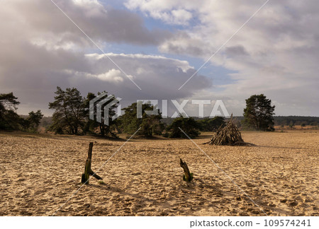 Dark sky above the Rozendaalse Zand 109574241