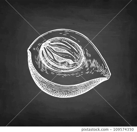 Nutmeg fruit chalk sketch. Nutmeg fruit chalk sketch. 109574350