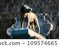 Capitoline Wolf statue symbol of Rome at city center 109574665