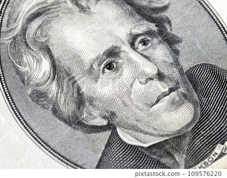 cash banknote of 20 American dollars 109576220