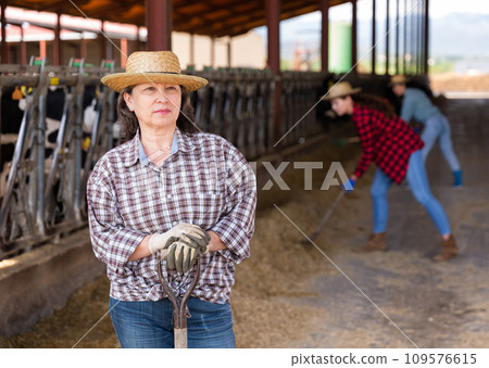 Portrait of mature farm owner in cowshed 109576615