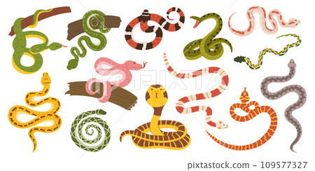 Mesmerizing Collection Of Snakes, Showcasing A Kaleidoscope Of Colors And Patterns. From Slithering Cobras To Pythons Mesmerizing Collection Of Snakes, Showcasing A Kaleidoscope Of Colors And Patterns. From Slithering Cobras To Pythons 109577327