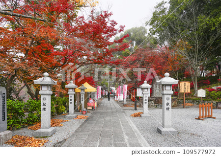 Izumo Daijingu Shrine (Kameoka City, Kyoto Prefecture) Izumo Daijingu Shrine (Kameoka City, Kyoto Prefecture) 109577972