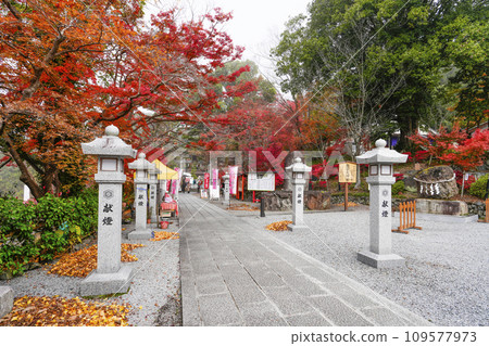 Izumo Daijingu Shrine (Kameoka City, Kyoto Prefecture) 109577973