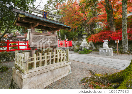 出雲大神宮（京都府龜岡市） 109577983
