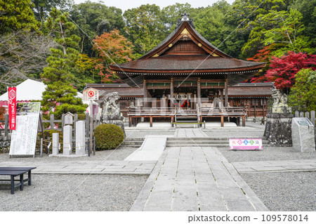 Izumo Daijingu Shrine (Kameoka City, Kyoto Prefecture) Main Hall and Worship Hall 109578014