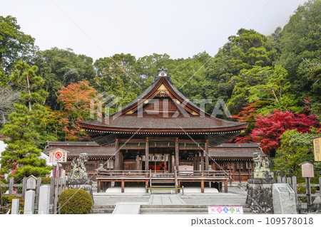 Izumo Daijingu Shrine (Kameoka City, Kyoto Prefecture) Main Hall and Worship Hall Izumo Daijingu Shrine (Kameoka City, Kyoto Prefecture) Main Hall and Worship Hall 109578018