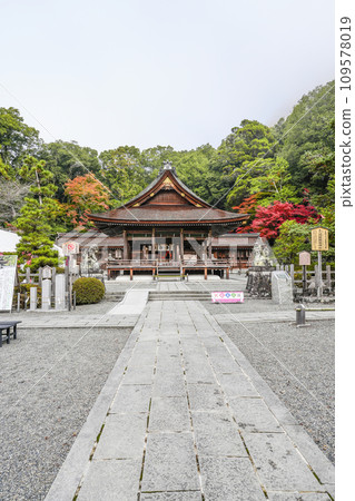 Izumo Daijingu Shrine (Kameoka City, Kyoto Prefecture) Main Hall and Worship Hall Izumo Daijingu Shrine (Kameoka City, Kyoto Prefecture) Main Hall and Worship Hall 109578019