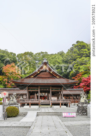 出雲大神宮(京都府龜岡市)正殿與參拜殿 出雲大神宮(京都府龜岡市)正殿與參拜殿 109578021