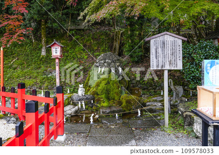 出雲大社（京都府龜岡市）真名之泉 109578033
