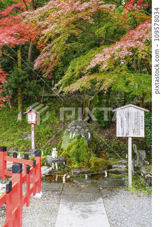 出雲大社（京都府龜岡市）真名之泉 109578034
