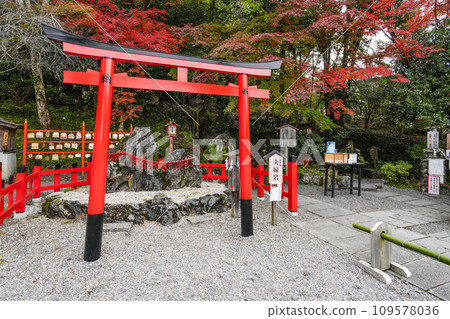 Izumo Daijingu Shrine (Kameoka City, Kyoto Prefecture) Meoto Iwa Izumo Daijingu Shrine (Kameoka City, Kyoto Prefecture) Meoto Iwa 109578036