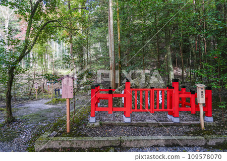 Izumo Grand Shrine (Kameoka City, Kyoto Prefecture) Kasuga Shrine 109578070