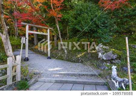 Izumo Daijingu Shrine (Kameoka City, Kyoto Prefecture) Chinju no Mori Izumo Daijingu Shrine (Kameoka City, Kyoto Prefecture) Chinju no Mori 109578088